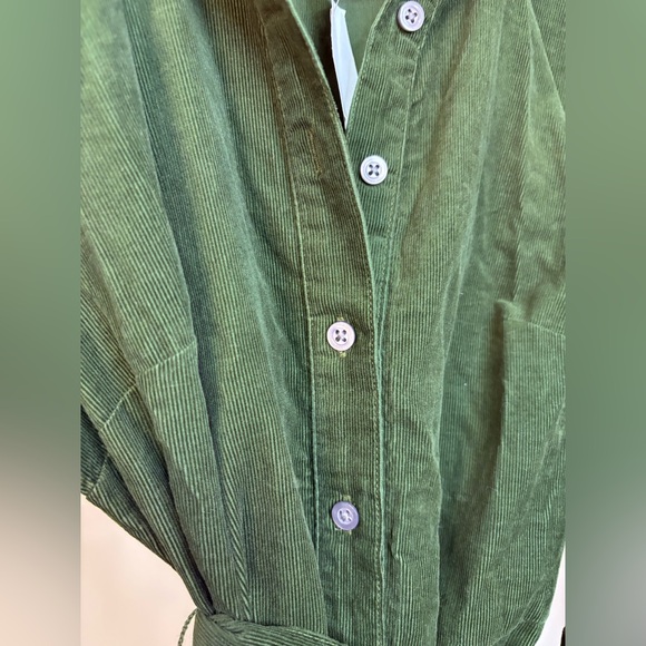 NWT J. Crew Olive Button-Up Dress with Belt - Picture 3 of 5